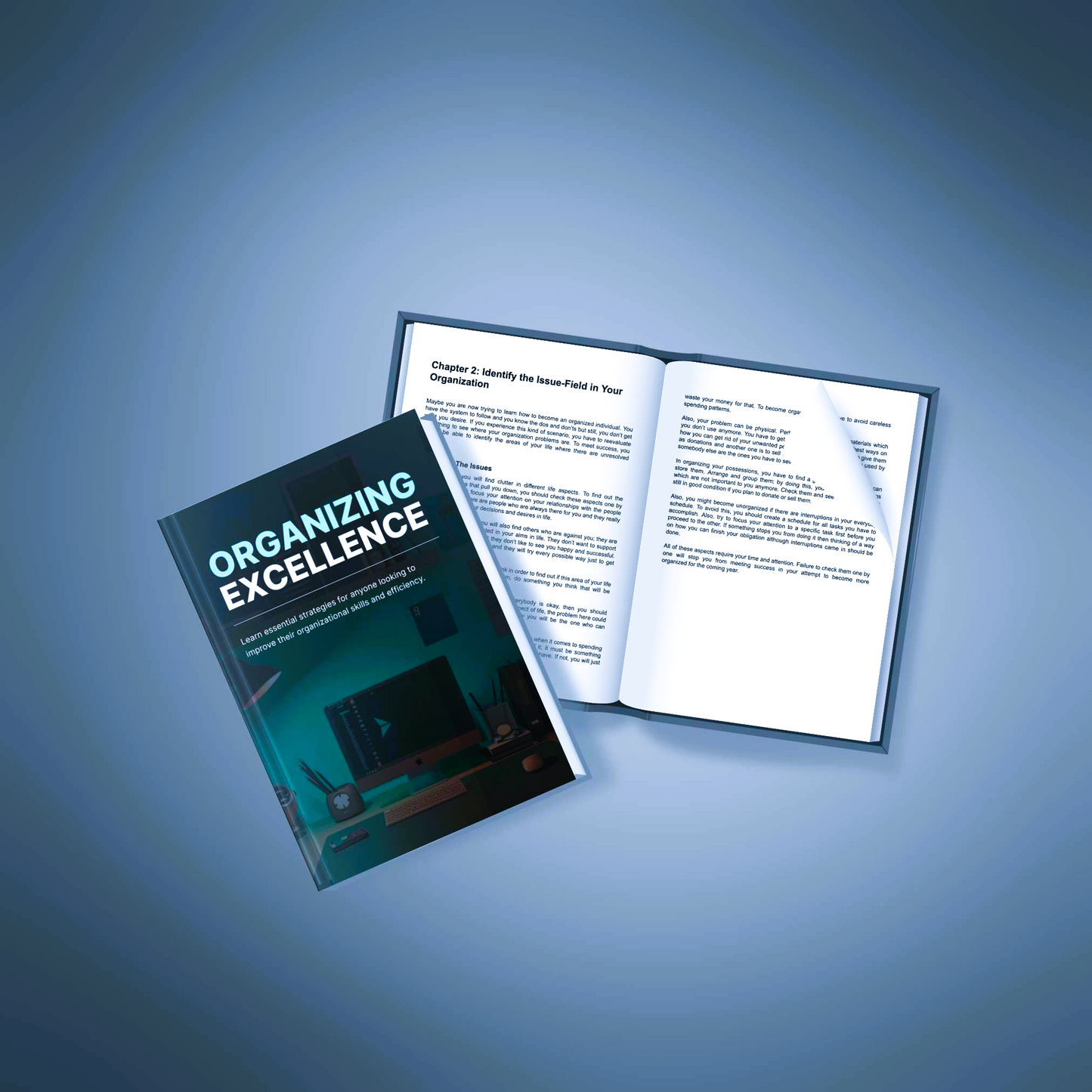 Organizing Excellence